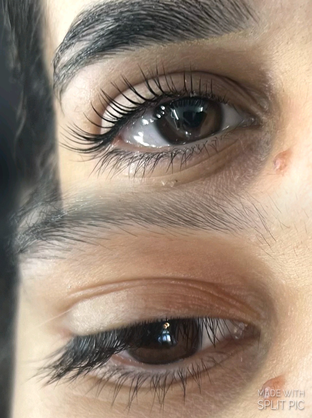 Lifting de pestañas realizado en Brows_cm